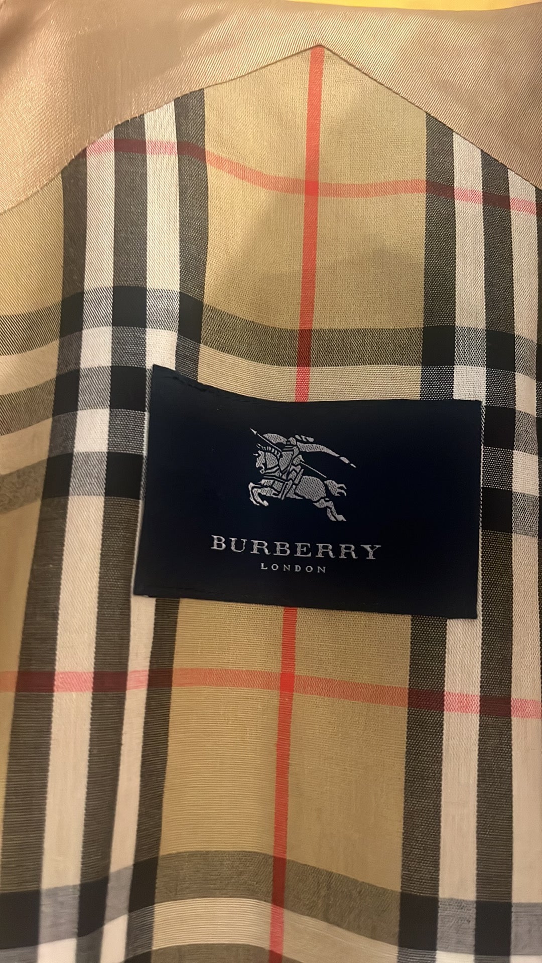 Burberry Yellow Coat Jacket